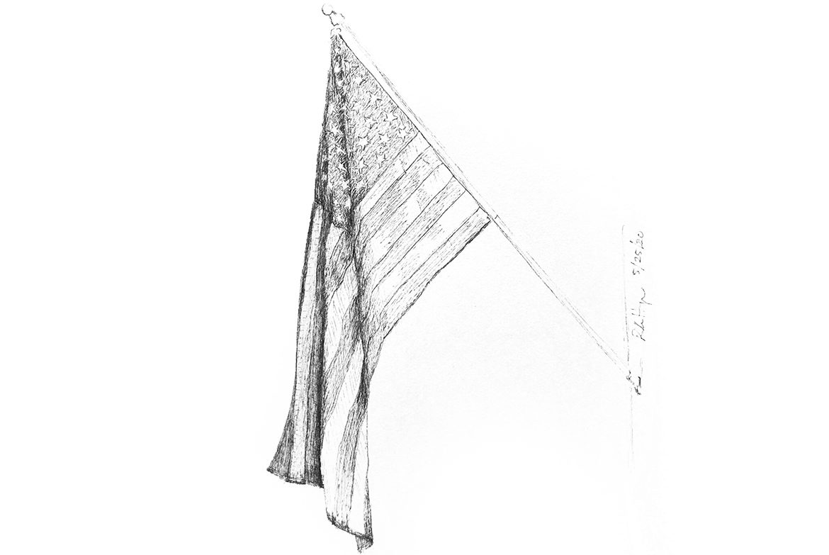 american flag robin alexa illustration